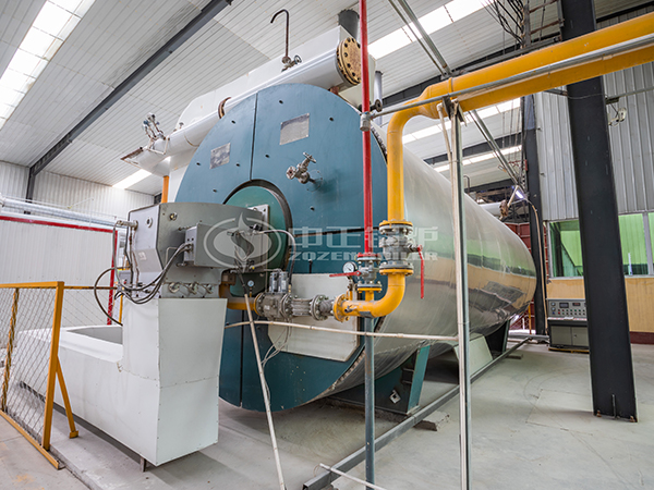 10噸(600萬大卡)生物質(zhì)導熱油鍋爐每小時消耗多少生物質(zhì)