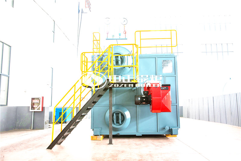 2噸燃生物質(zhì)導(dǎo)熱油鍋爐大廠(chǎng)