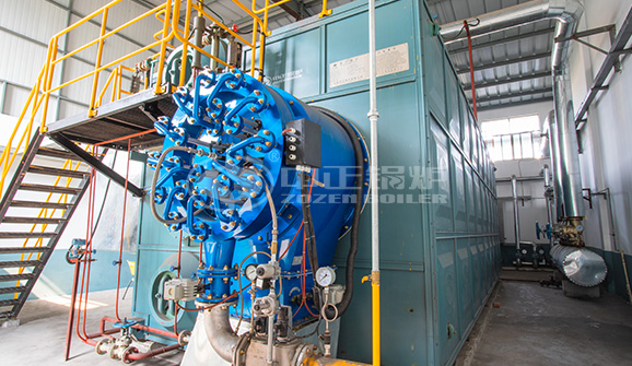 15t/h燃?xì)忮仩t參數(shù)